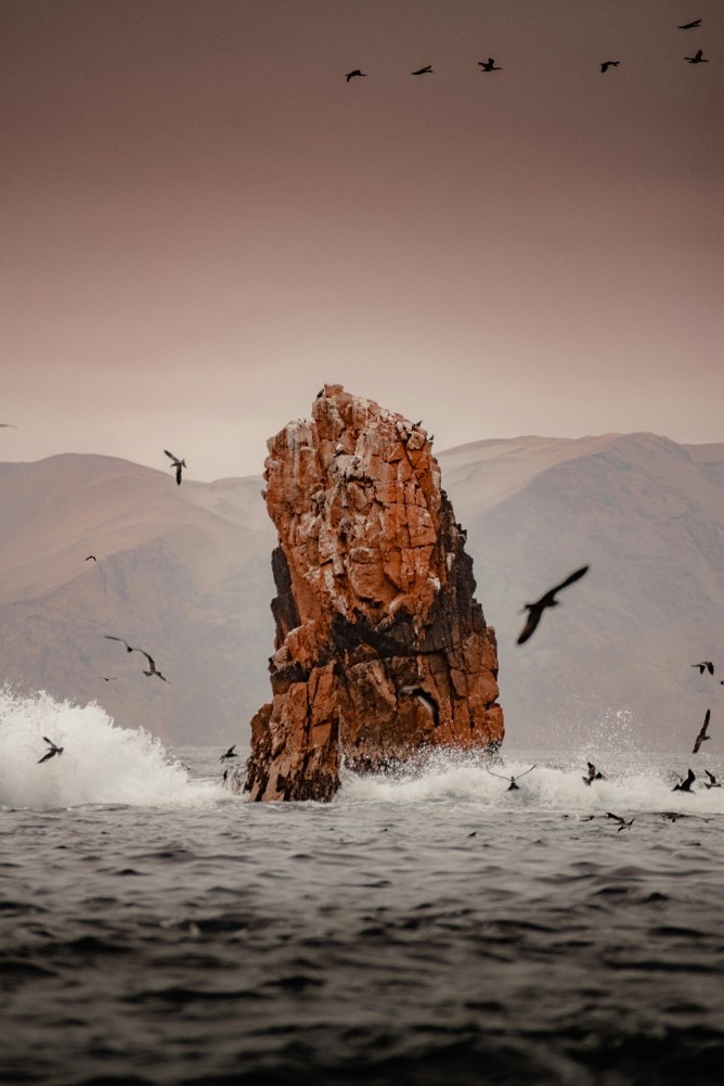 Paracas and Huacachina tour – sea cliffs and natural beauty